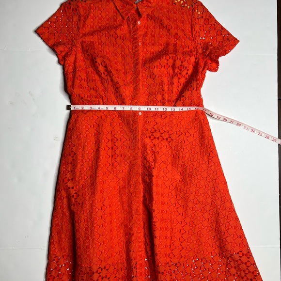 Ann Taylor Orange Eyelet A-line Flare Dress with Collar, MWT, SZ 12P - Picture 6 of 7